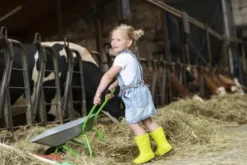 Outdoor active - Schubkarre-Metall, silber/grün | Teddy Toys Kinderwelt