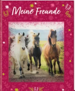 Pferdefreunde - Freundebuch: Meine Freunde mit 3-D-Bild | Teddy Toys Kinderwelt