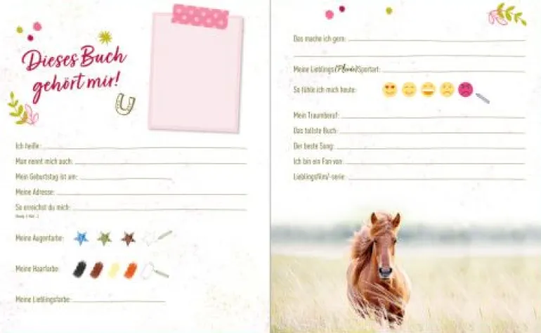 Pferdefreunde - Freundebuch: Meine Freunde mit 3-D-Bild | Teddy Toys Kinderwelt