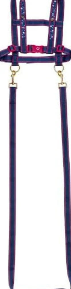 Pferdefreunde - Pferdeleine | Teddy Toys Kinderwelt