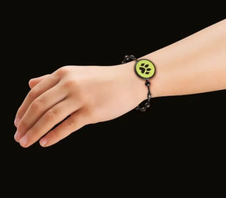 PLAYMOBIL 71337 Miraculous: Adrien & Cat Noir | Teddy Toys Kinderwelt