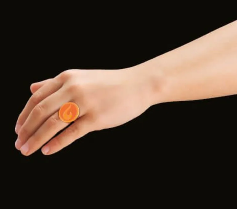 PLAYMOBIL 71339 Miraculous: Rena Rouge | Teddy Toys Kinderwelt