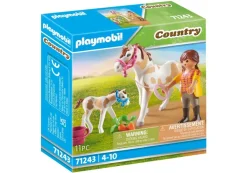 PLAYMOBIL 71243 Pferd mit Fohlen | Teddy Toys Kinderwelt