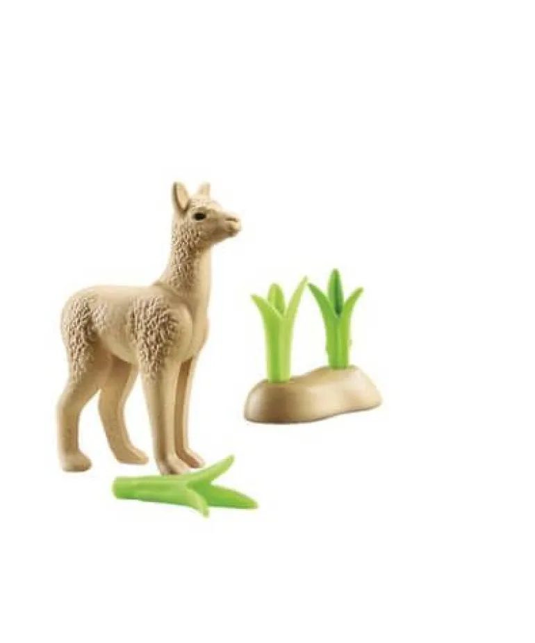PLAYMOBIL® Wiltopia - Junges Alpaka | Teddy Toys Kinderwelt