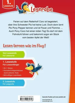 Rabenstarke Ponygeschichten für Erstleser - Leserabe | Teddy Toys Kinderwelt