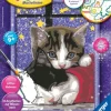 Ravensburger 28561 Malen nach Zahlen: Kuschelnde Kätzchen | Teddy Toys Kinderwelt