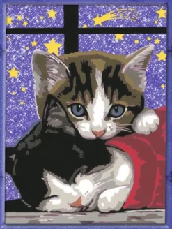 Ravensburger 28561 Malen nach Zahlen: Kuschelnde Kätzchen | Teddy Toys Kinderwelt