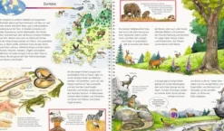 Ravensburger 32601 Mein großer Tieratlas | Teddy Toys Kinderwelt