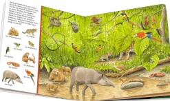 Ravensburger 41916 Mein Sachen suchen Wimmelbuch: Tiere und ihre | Teddy Toys Kinderwelt