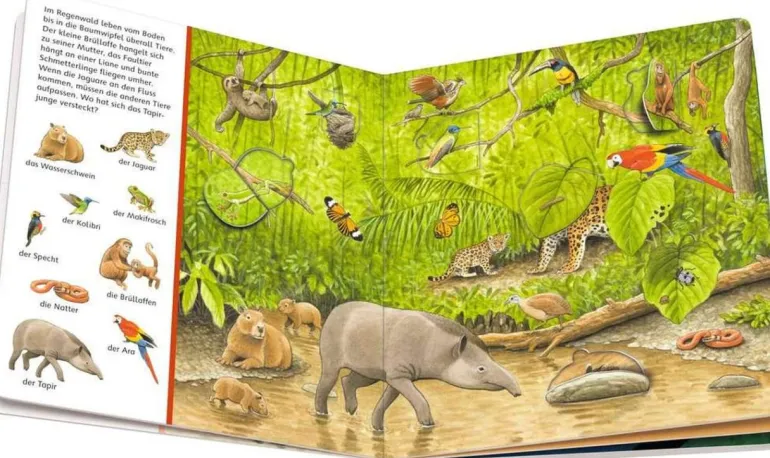 Ravensburger 41916 Mein Sachen suchen Wimmelbuch: Tiere und ihre | Teddy Toys Kinderwelt