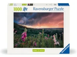 Ravensburger 12000793 Puzzle Ein Sturm zieht auf 1000 Teile | Teddy Toys Kinderwelt