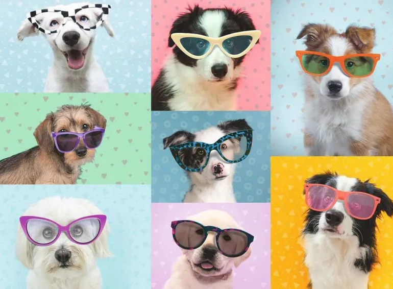 Ravensburger Kinderpuzzle 13288 - Witzige Hunde - 150 Teile Puzzl | Teddy Toys Kinderwelt