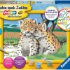 Ravensburger® Malen nach Zahlen - Kleine Leoparden | Teddy Toys Kinderwelt