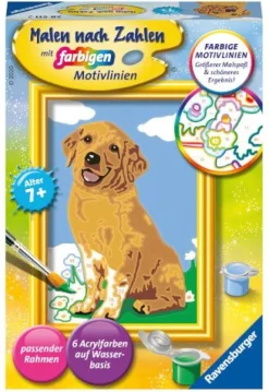 Ravensburger® Malen nach Zahlen - Kleiner Golden Retriever | Teddy Toys Kinderwelt