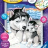 Ravensburger® Malen nach Zahlen - Husky Kuss | Teddy Toys Kinderwelt