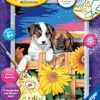 Ravensburger® Malen nach Zahlen - Welpen im Sonnenuntergang | Teddy Toys Kinderwelt