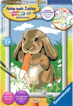 Ravensburger? Malen nach Zahlen - Knuddelh?schen | Teddy Toys Kinderwelt