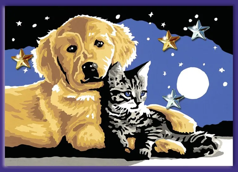 Ravensburger® Malen nach Zahlen - Funkelnder Sternenhimmel | Teddy Toys Kinderwelt