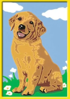 Ravensburger® Malen nach Zahlen - Kleiner Golden Retriever | Teddy Toys Kinderwelt