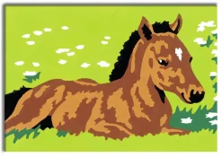 Ravensburger® Malen nach Zahlen - Kleines Fohlen | Teddy Toys Kinderwelt