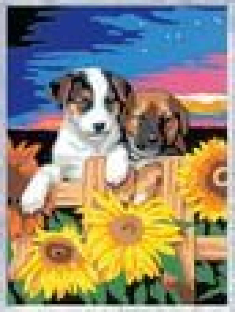 Ravensburger® Malen nach Zahlen - Welpen im Sonnenuntergang | Teddy Toys Kinderwelt