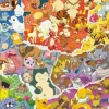 Ravensburger Puzzle 17577 - Pokémon Abenteuer - 1000 Teile Pokémo | Teddy Toys Kinderwelt