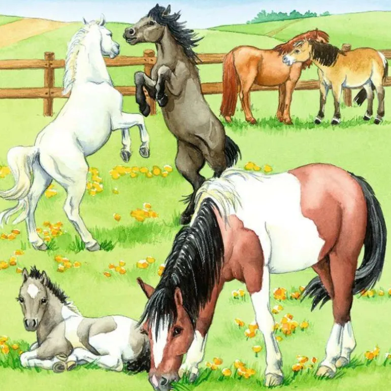 Ravensburger® Puzzle - Ein Tag auf dem Reiterhof, 3x49 Teile | Teddy Toys Kinderwelt