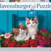 Ravensburger® Puzzle - Katzenbabys, 500 Teile | Teddy Toys Kinderwelt