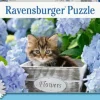 Ravensburger® Puzzle - Kleine Katze, 300 Teile | Teddy Toys Kinderwelt
