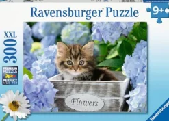 Ravensburger® Puzzle - Kleine Katze, 300 Teile | Teddy Toys Kinderwelt