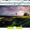Ravensburger Puzzle Nature Edition 16991 Reisfelder im Norden von | Teddy Toys Kinderwelt
