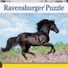 Ravensburger® Puzzle XXL - Schwarzer Hengst, 200 Teile | Teddy Toys Kinderwelt