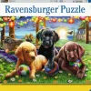 Ravensburger® Puzzle XXL - Hunde Picknick, 100 Teile | Teddy Toys Kinderwelt