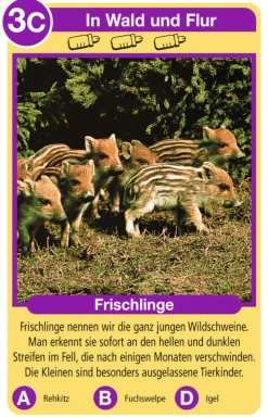 Ravensburger® Spiele - Quartett Tierkinder | Quartett | Kartenspiele | Spiele | Spielzeug | Teddy Toys Kinderwelt