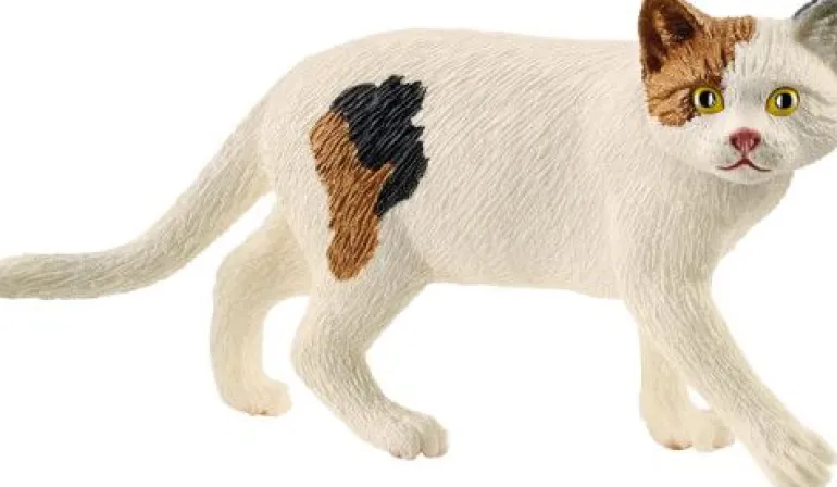 Schleich® Farm World - Amerikanische Kurzhaarkatze | Teddy Toys Kinderwelt