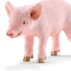 Schleich® Farm World - Ferkel, stehend | Teddy Toys Kinderwelt