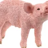Schleich® Farm World - Ferkel | Teddy Toys Kinderwelt
