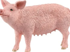 Schleich® Farm World - Schwein | Teddy Toys Kinderwelt