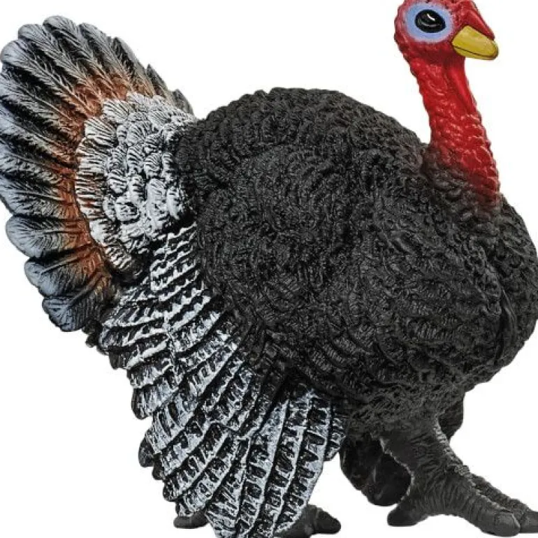 Schleich® Farm World - Truthahn | Teddy Toys Kinderwelt
