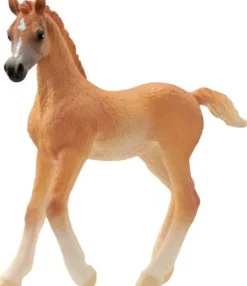 schleich® HORSE CLUB 13984 Araber Fohlen | Teddy Toys Kinderwelt