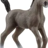 schleich® Horse Club 13957 Cheval de Selle Francais Fohlen | Teddy Toys Kinderwelt