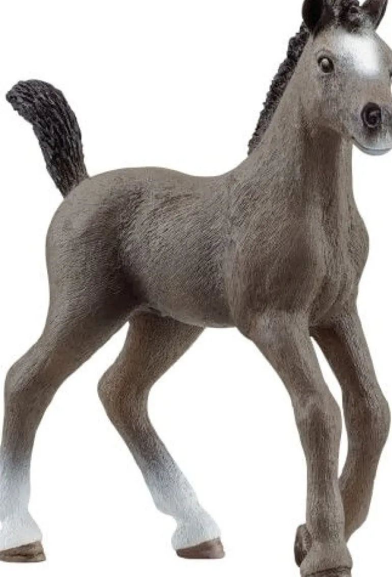 schleich® Horse Club 13957 Cheval de Selle Francais Fohlen | Teddy Toys Kinderwelt