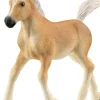 schleich® Horse Club 13951 Haflinger Fohlen | Teddy Toys Kinderwelt