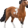 schleich® HORSE CLUB 13978 Mangalarga Marchador Hengst | Teddy Toys Kinderwelt