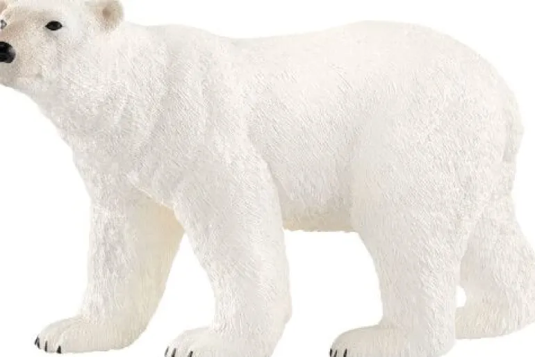Schleich® Wild Life - Eisbär | Teddy Toys Kinderwelt