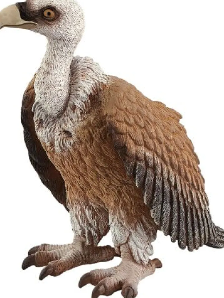 Schleich® Wild Life - Geier | Teddy Toys Kinderwelt