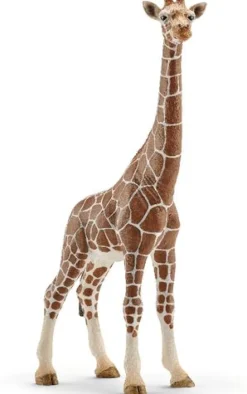 Schleich® Wild Life - Giraffenkuh | Teddy Toys Kinderwelt