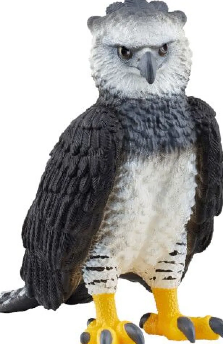 schleich® Wild Life 14862 Harpyie | Teddy Toys Kinderwelt