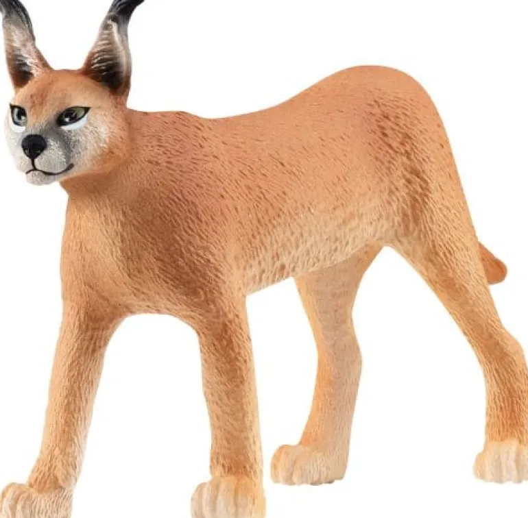 schleich® Wild Life 14867 Karakal Weibchen | Teddy Toys Kinderwelt