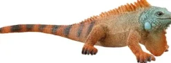 Schleich® Wild Life - Leguan | Teddy Toys Kinderwelt